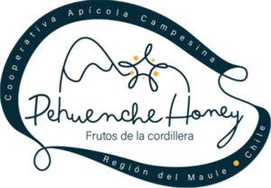 Logo Pehuenche honey footer